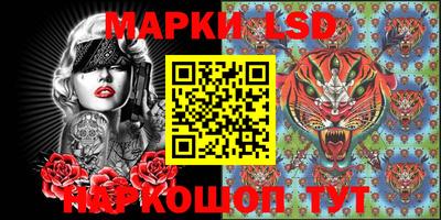 крисы Берёзовский