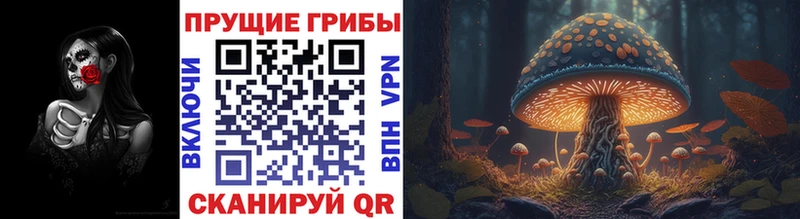Псилоцибиновые грибы ЛСД  купить закладку  Белебей 